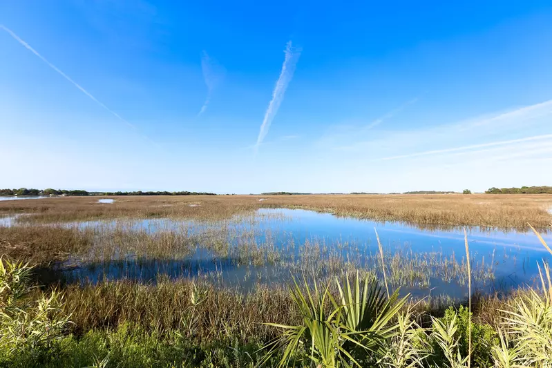 folly beach marsh