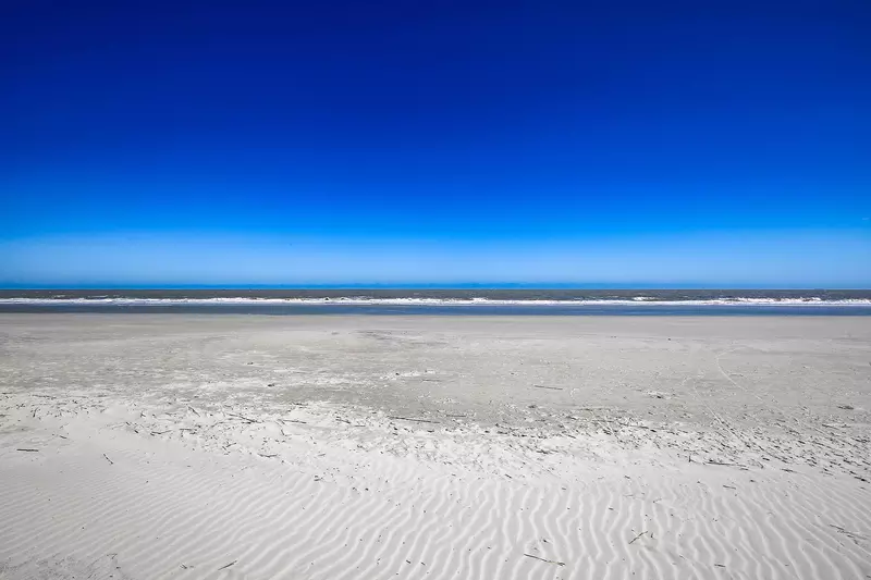 palmetto dunes beach