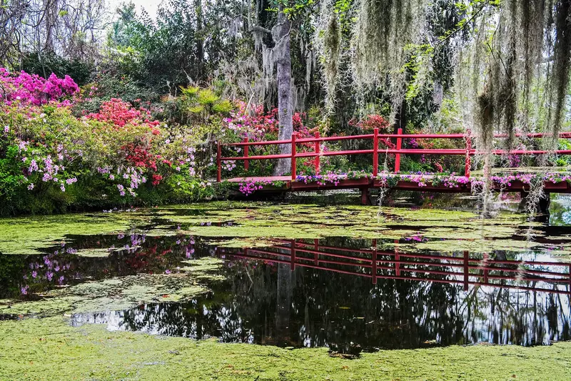 saltwater pond