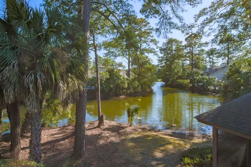 rental at palmetto dunes