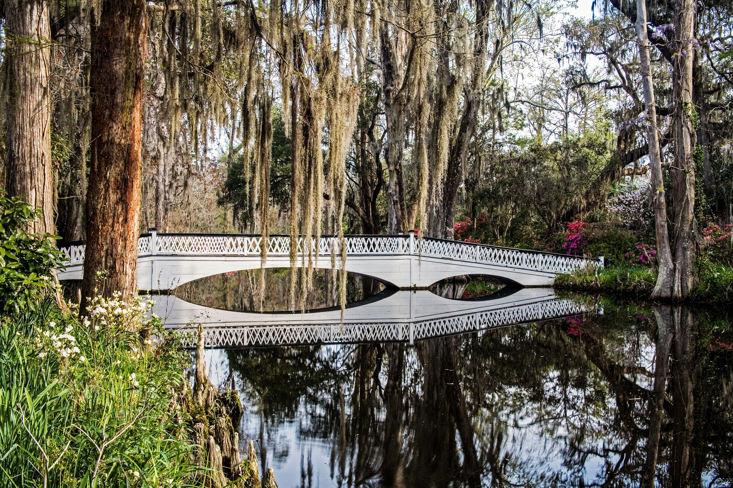 Magnolia Plantation and its Gardens