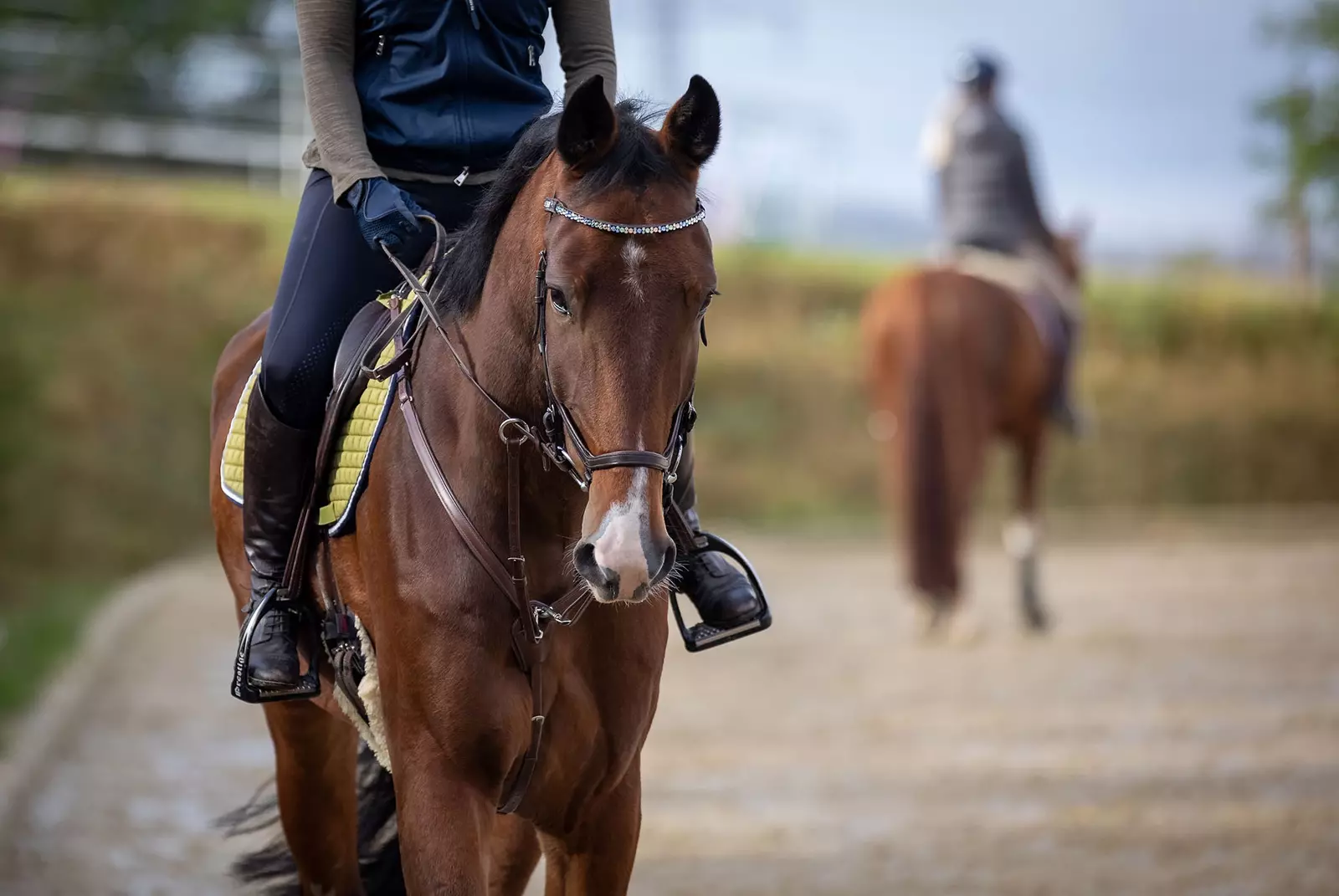 Horseback riding