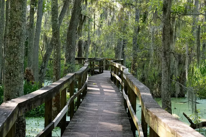 Boardwalk