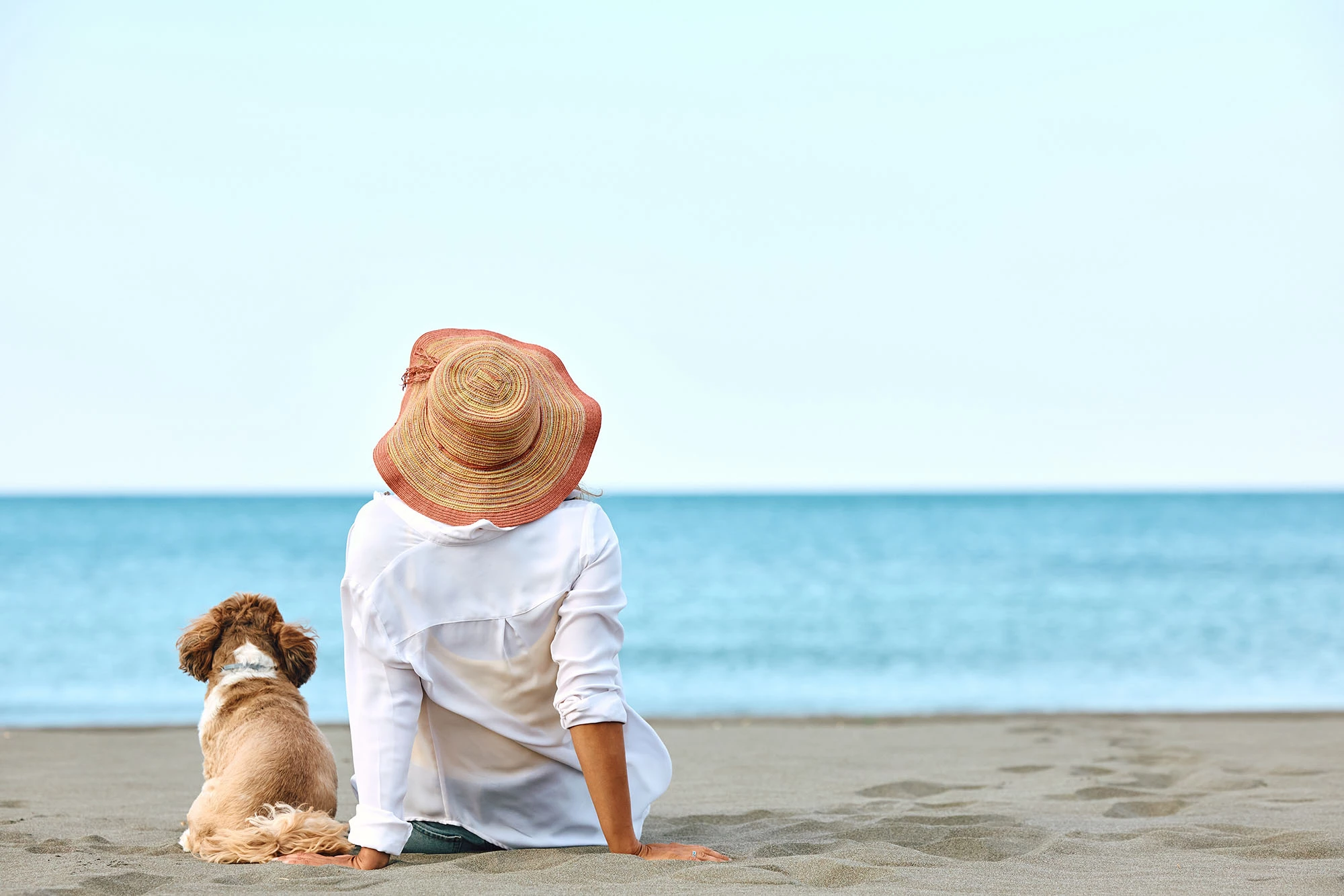 woman and dog on the beach