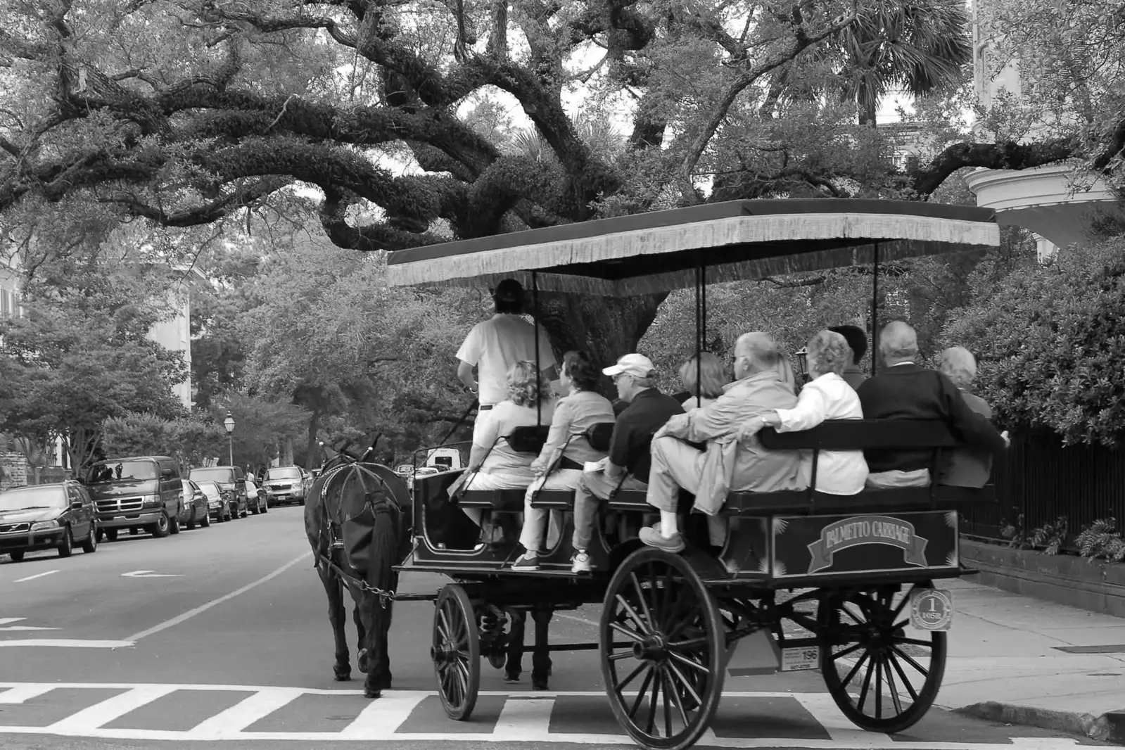 Enjoy a carriage ride around downtown and learn the history behind this unique city!