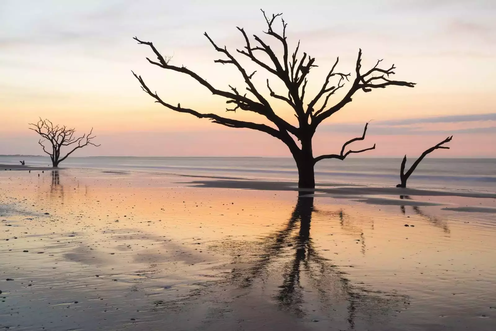 Visit the area wildlife refuges and county parks for some amazing sea scapes, (Botony Bay pictured).
