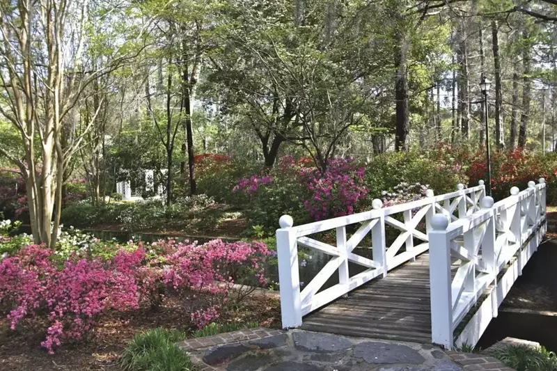 Nearby Summerville Blossom Festival