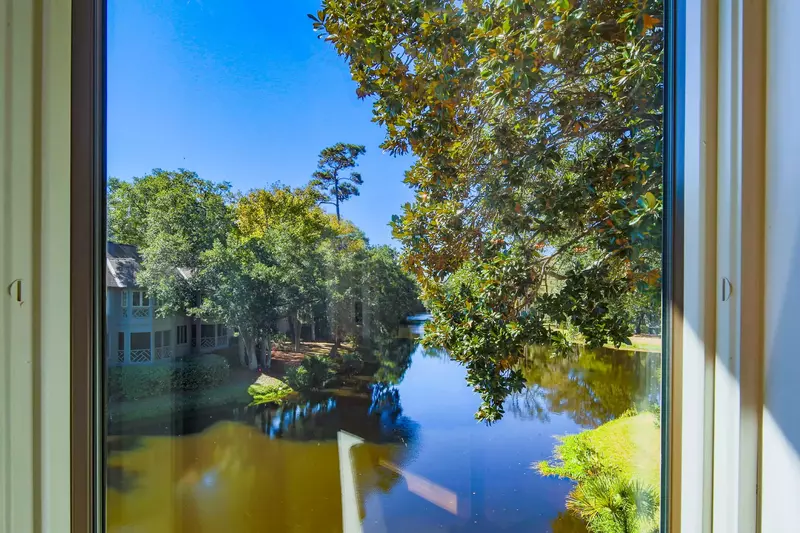 Alligators, eagles, herons, egrets, deer and more local wildlife frequently visit the lagoon.