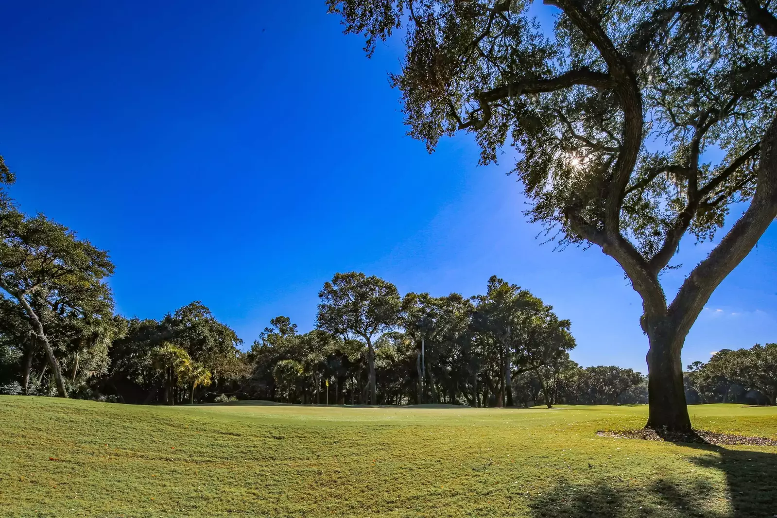 Come golf on Kiawah Island's world famous golf courses.