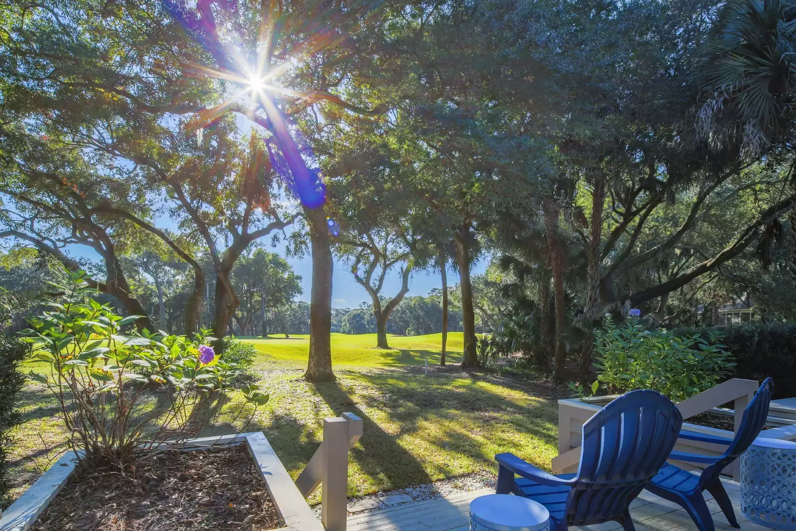 The backyard is lined with live oak and palmetto trees.