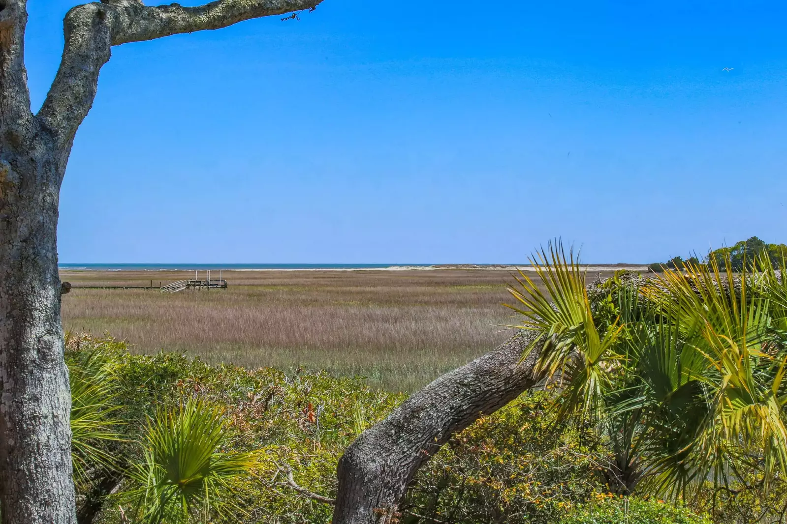 You'll enjoy incredible marsh views as well as the ocean in the distance.