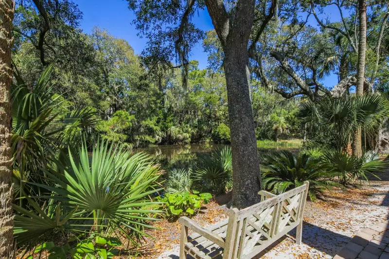 The lagoon behind the home is lined with live oaks, palmetto trees, Washingtonian palms & more.