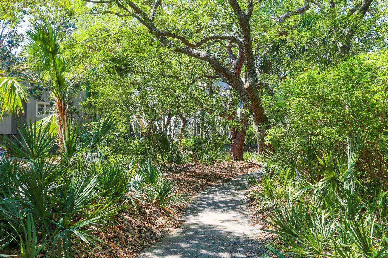 Follow this pathway to the beach!
