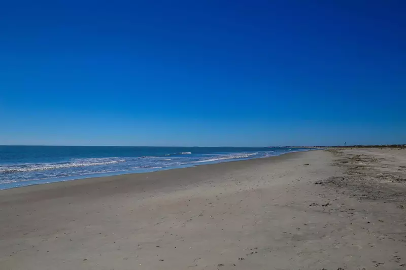 You can have your toes in the sand within 5 minutes from Love Blooms Here!