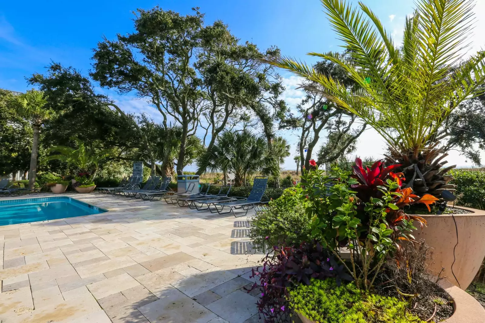 The community pool features a large sundeck with loungers and potted plants.