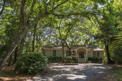 Palm Warbler is nestled within the Kiawah Island's lush maritime forest.