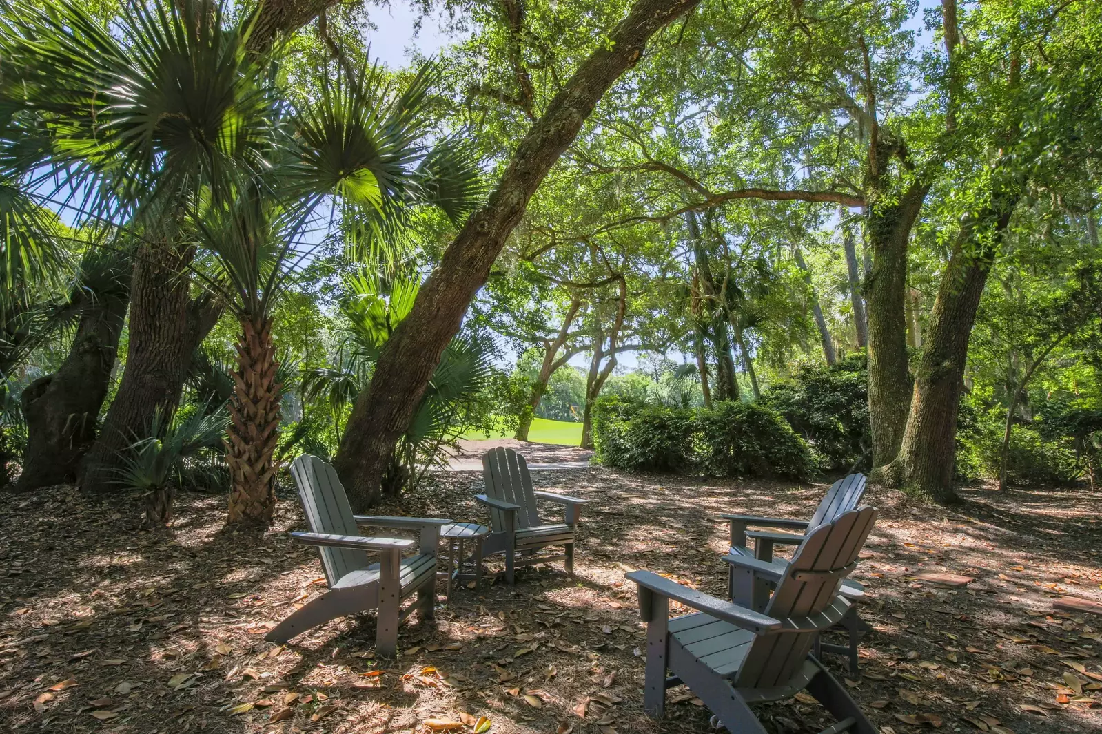You'll find live oaks, palmetto trees and other Lowcountry trees around the exterior of the home.
