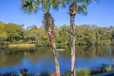 You'll never tire of watching the birds, alligators and other wildlife in the lagoon behind the home.