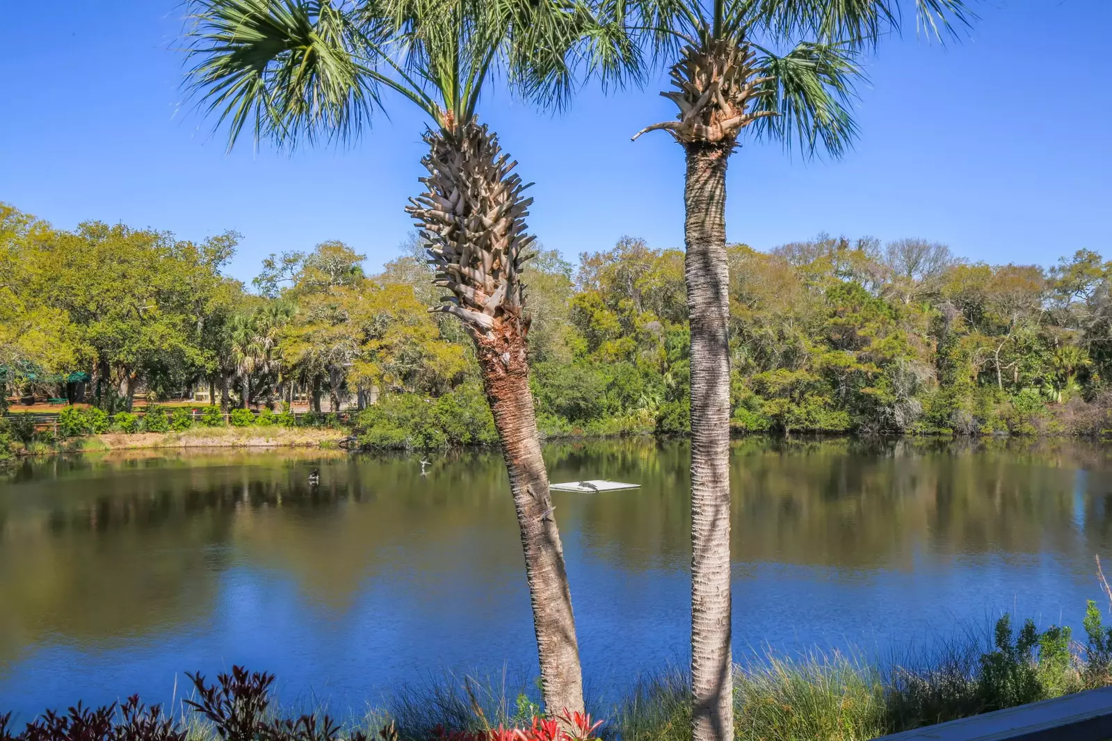 You'll never tire of watching the birds, alligators and other wildlife in the lagoon behind the home.