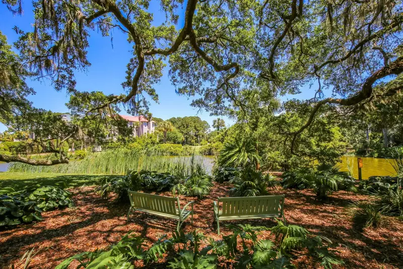 The trail is lined with palms, live oaks draped in Spanish moss, and other Lowcountry trees & shrubs.