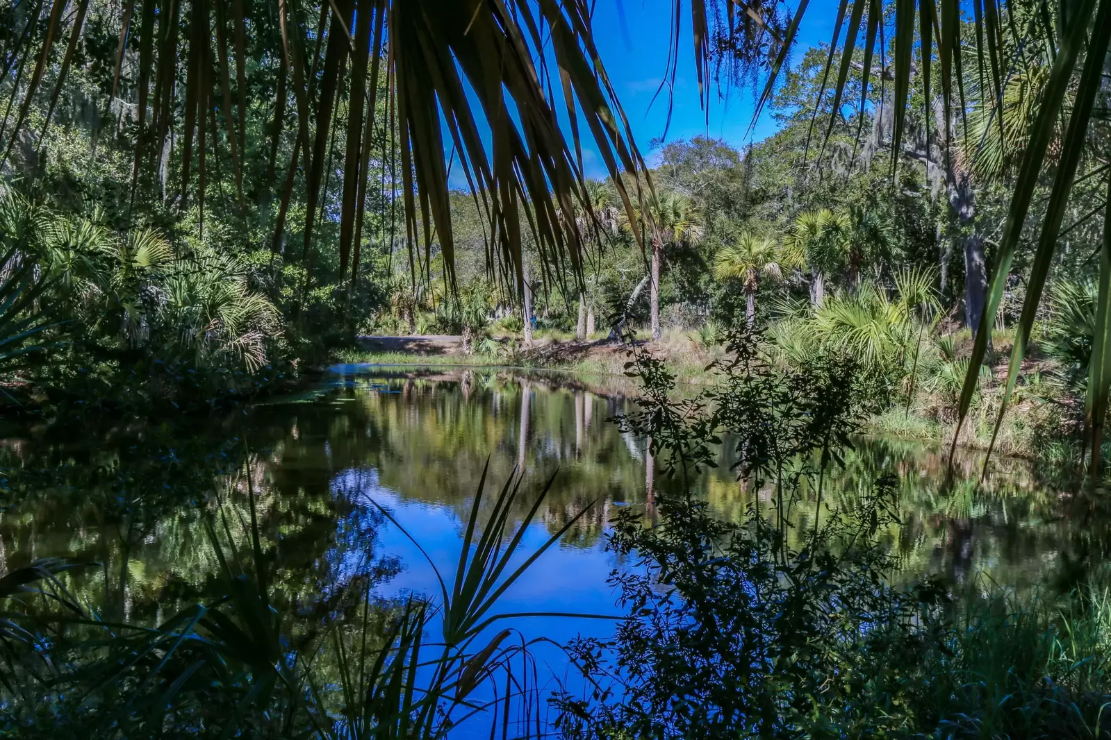 Connect with nature and relax with these lagoon views.