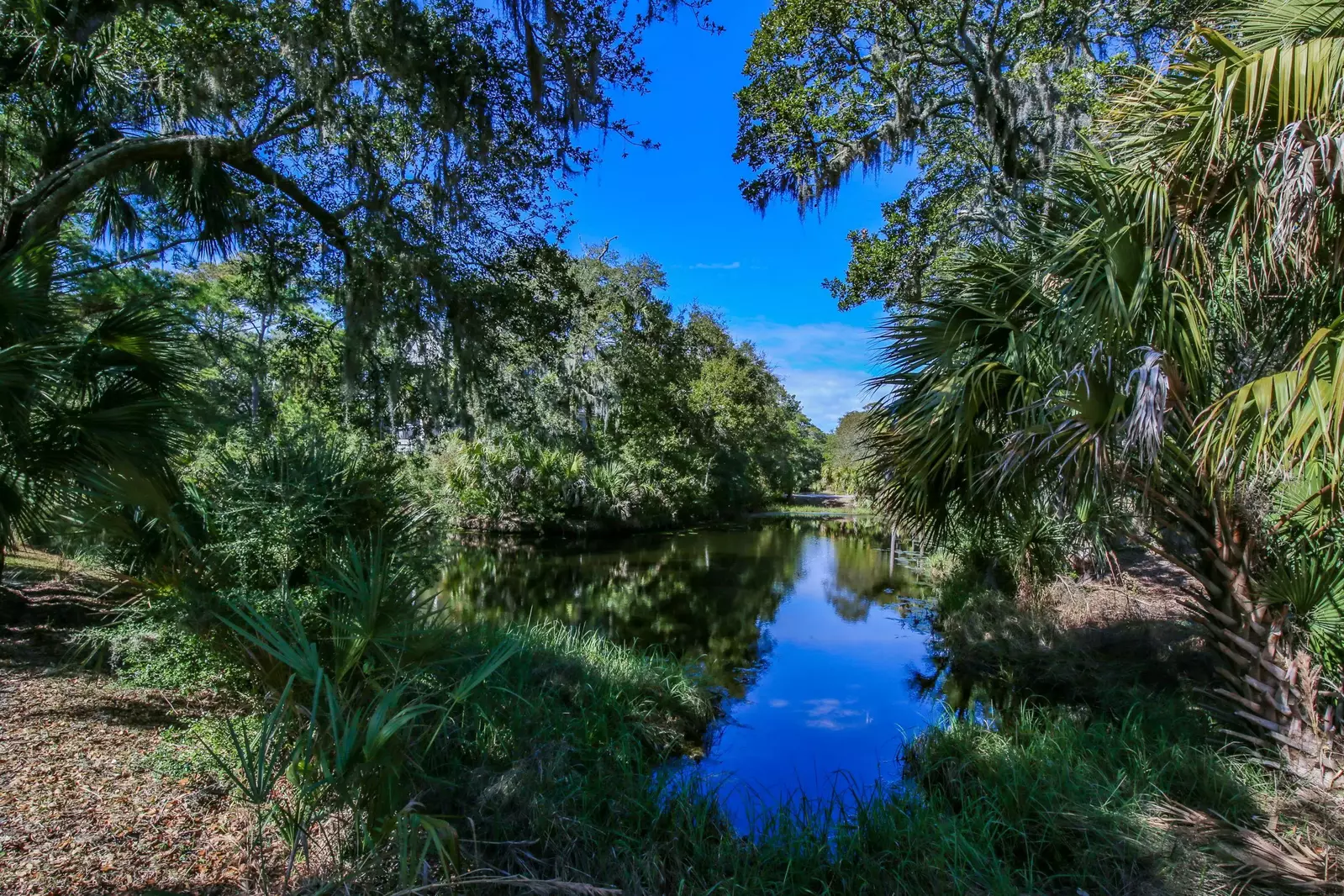 You'll have plenty of opportunities to spot birds and wildlife who frequently visit the lagoon.
