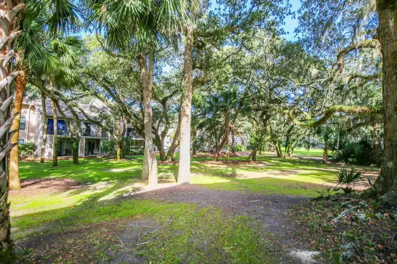 The gardens behind The Beach is Calling feature palmetto trees, live oak trees and other Lowcountry trees.