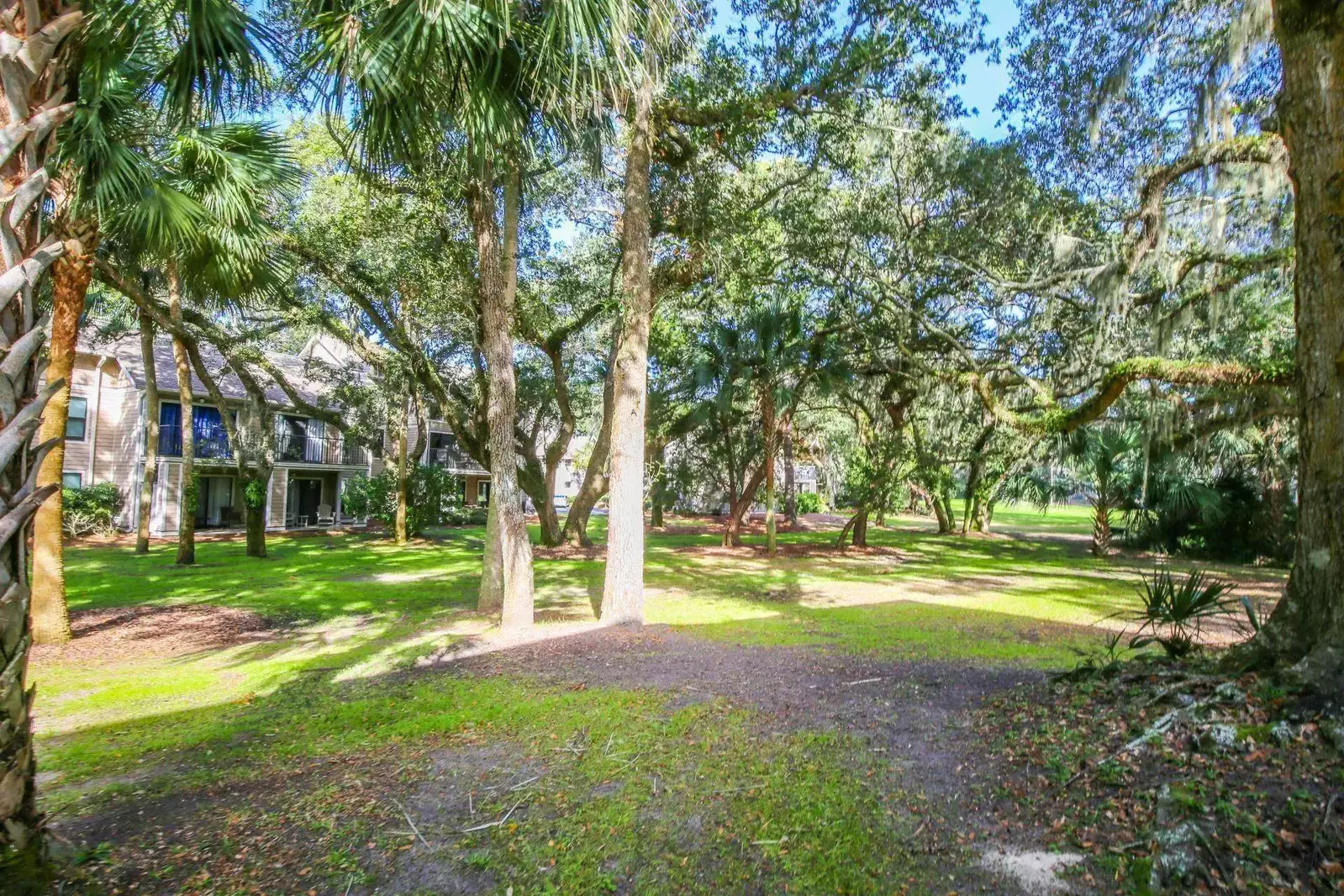 The gardens behind The Beach is Calling feature palmetto trees, live oak trees and other Lowcountry trees.
