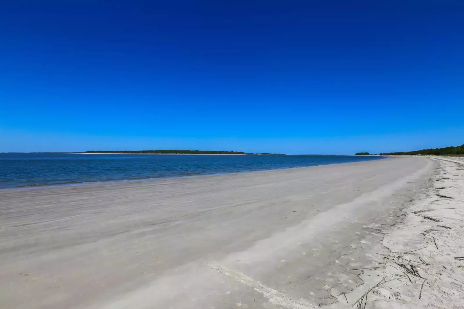 The Beach Is Calling