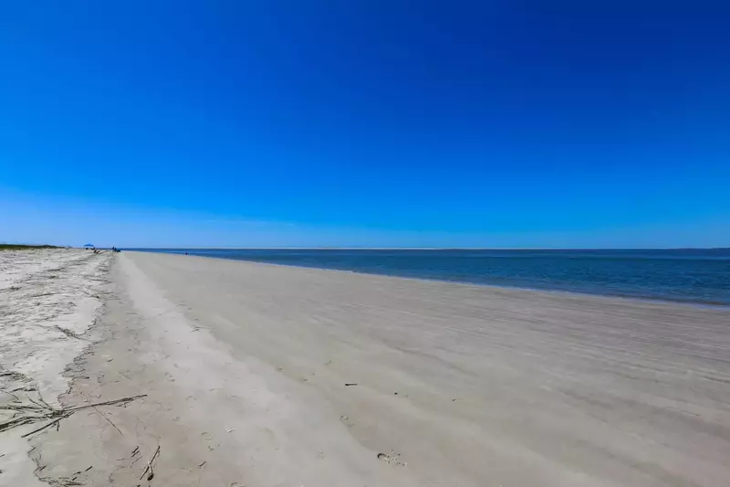 The Beach Is Calling