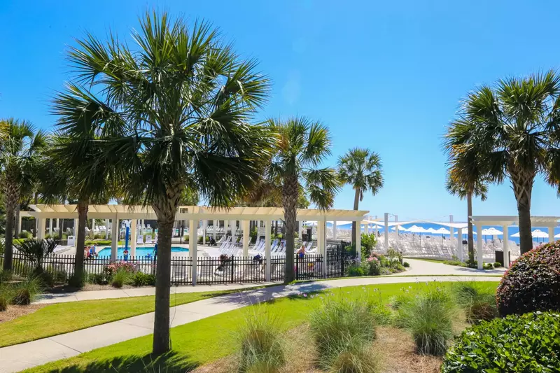 The Beach Is Calling