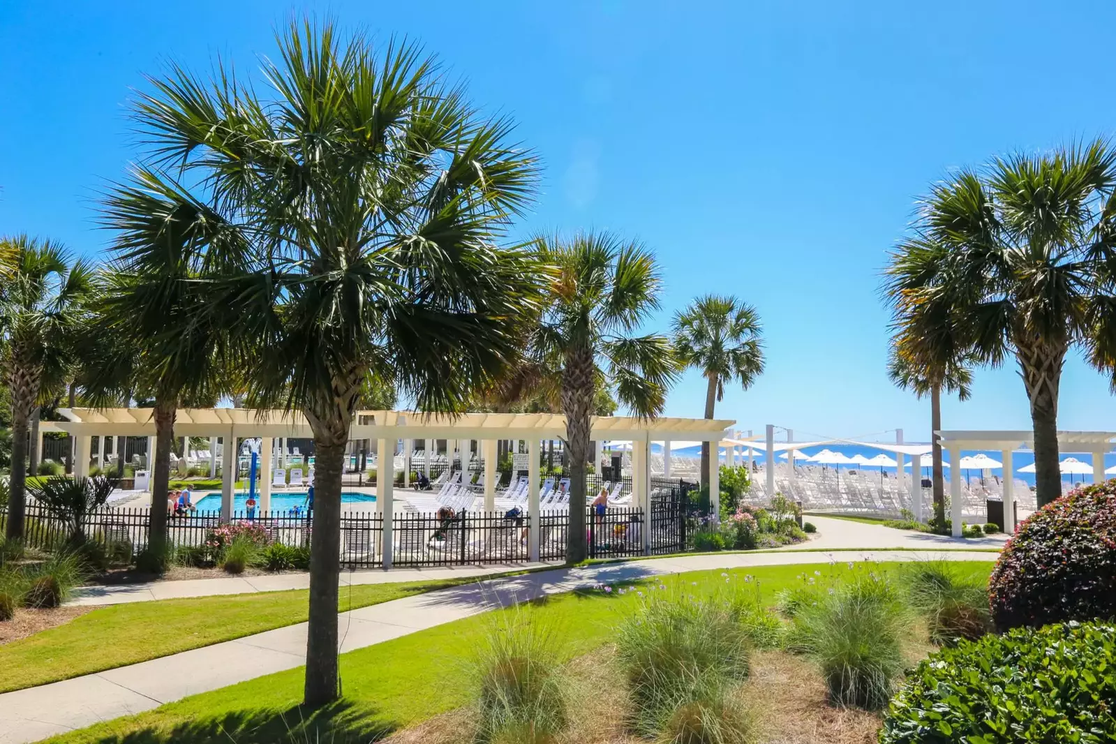 The Beach Is Calling