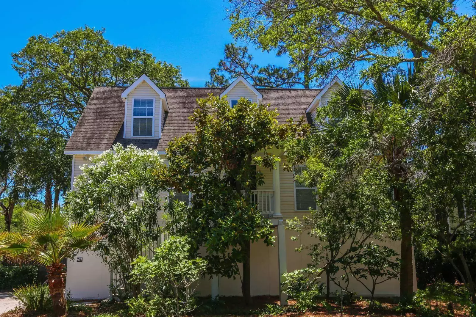 The house is surrounded by palmetto trees, magnolia trees and other Lowcountry trees.