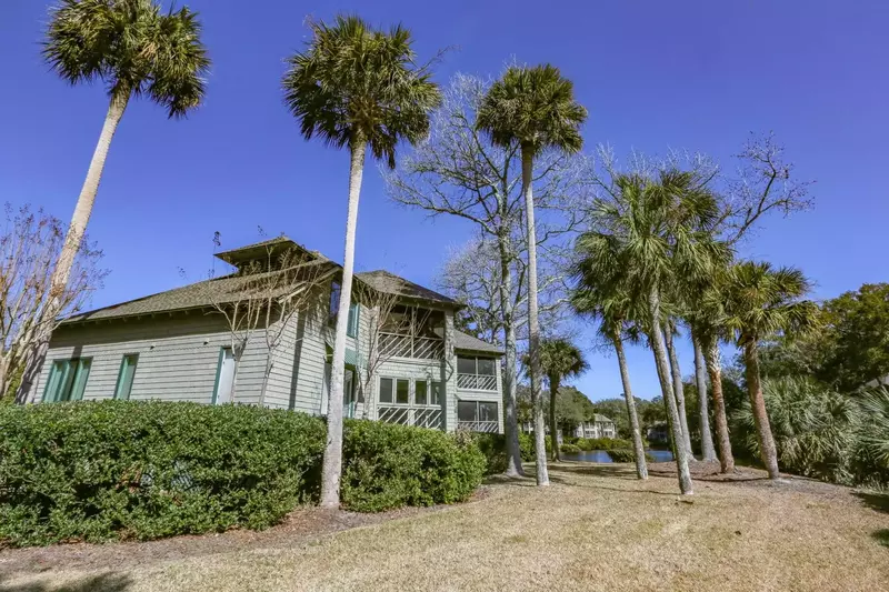 The backside of the building looks out onto these Palmetto trees and the lagoon.