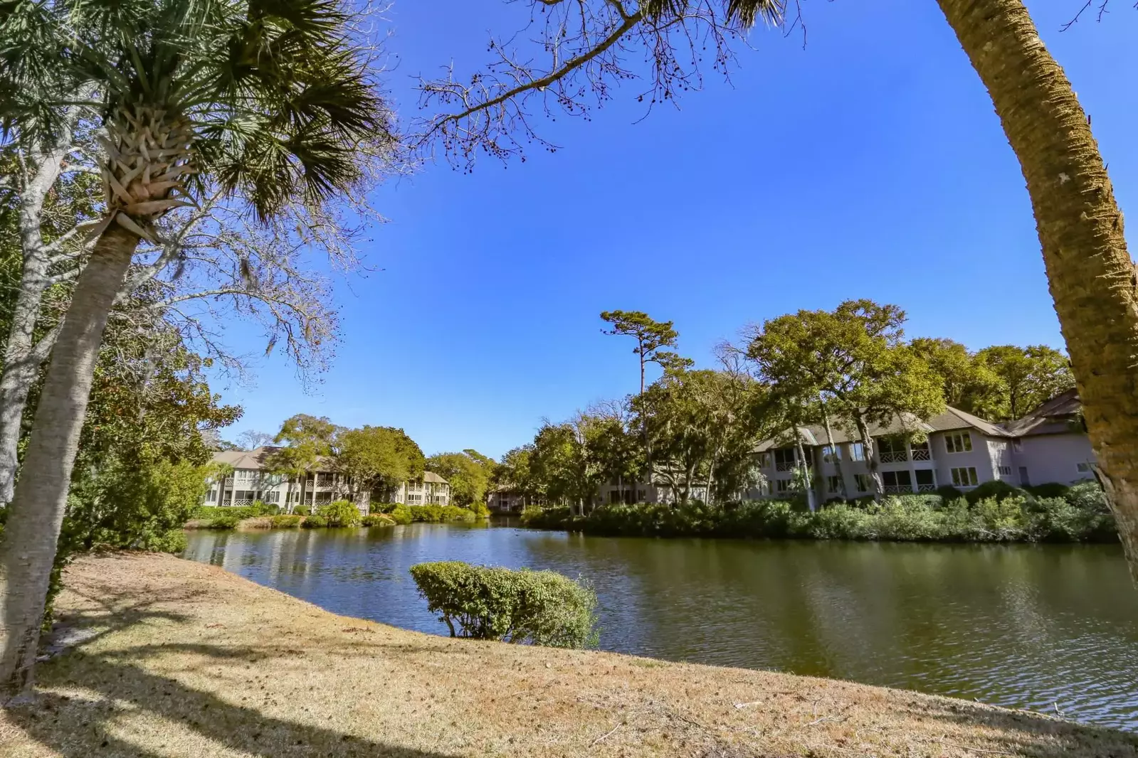 Many birds, deer, alligators and other wildlife visit the lagoon behind Let's Do Sunset.