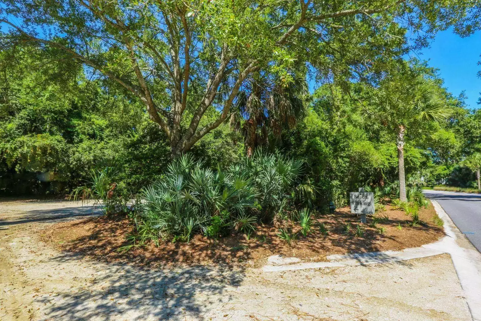 We suggest driving to this beach parking area and walking the short distance to beach access point 40.
