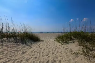 Are you ready to get away from it all and unwind at the beach?