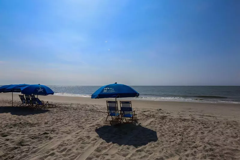 We'd love to host your next beach getaway to Wild Dunes Resort!