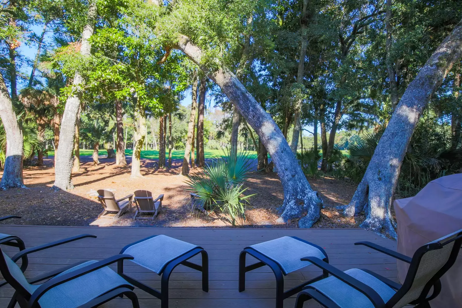Listen to the birdsong and other soothing sounds of Kiawah Island's maritime forest on our spacious back porch.