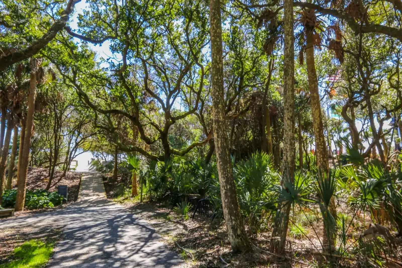 Cool Blow is a relaxing, tree lined walk away from the beach access point.