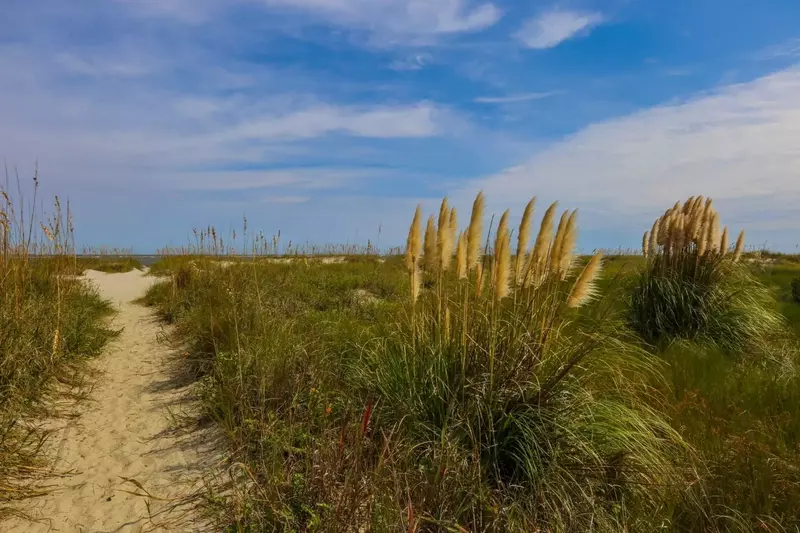 We'd love to host your family's next Wild Dunes beach getaway!