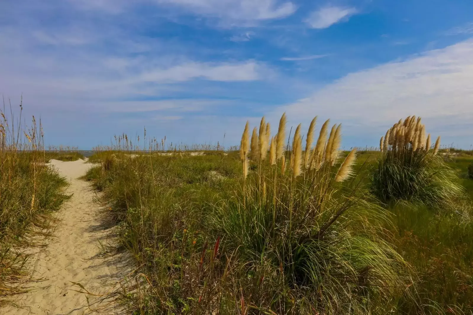 We'd love to host your family's next Wild Dunes beach getaway!