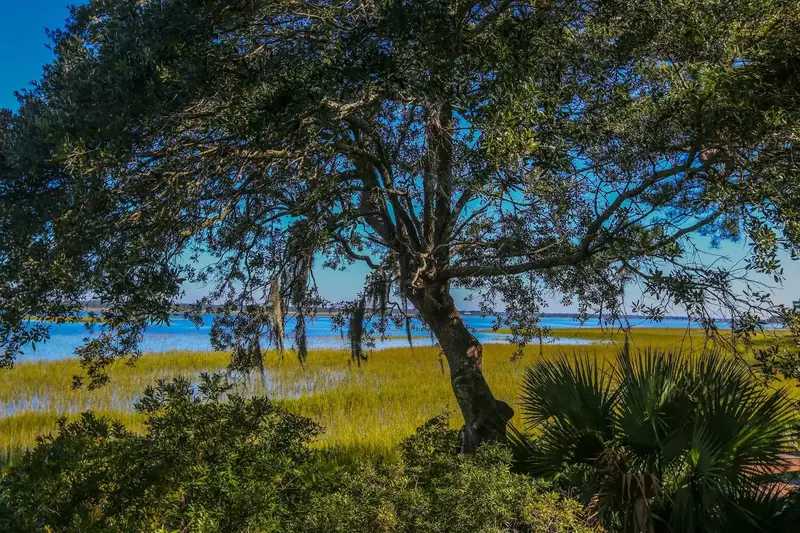 The marsh views are serenely peaceful and relaxing.