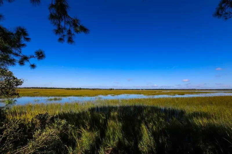 Ready for a majestic marsh retreat?