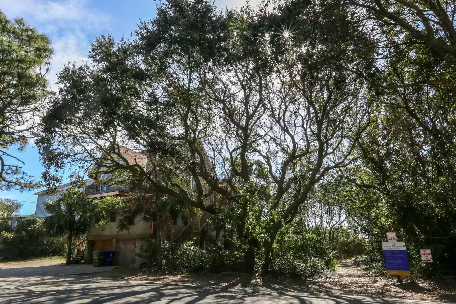 A magnificent tree separates Someplace Else from the beautifully shaded beach access walkway.