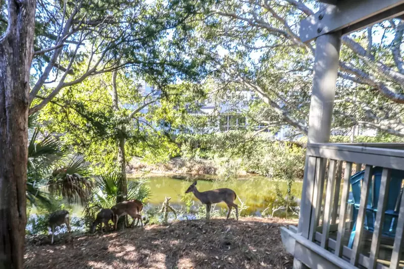 Enjoy the wildlife!