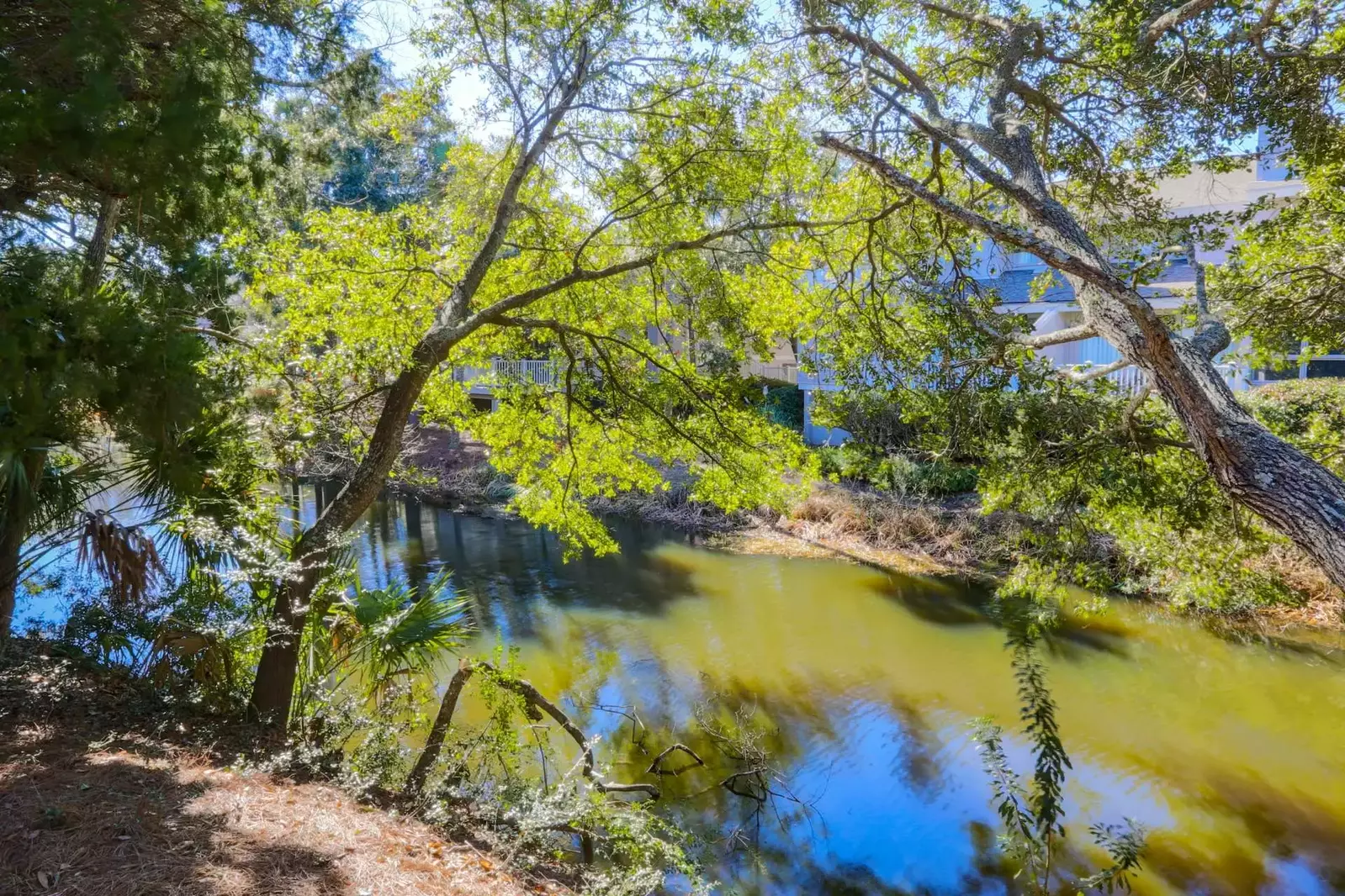 This lagoon is a bird or animal lover's delight!