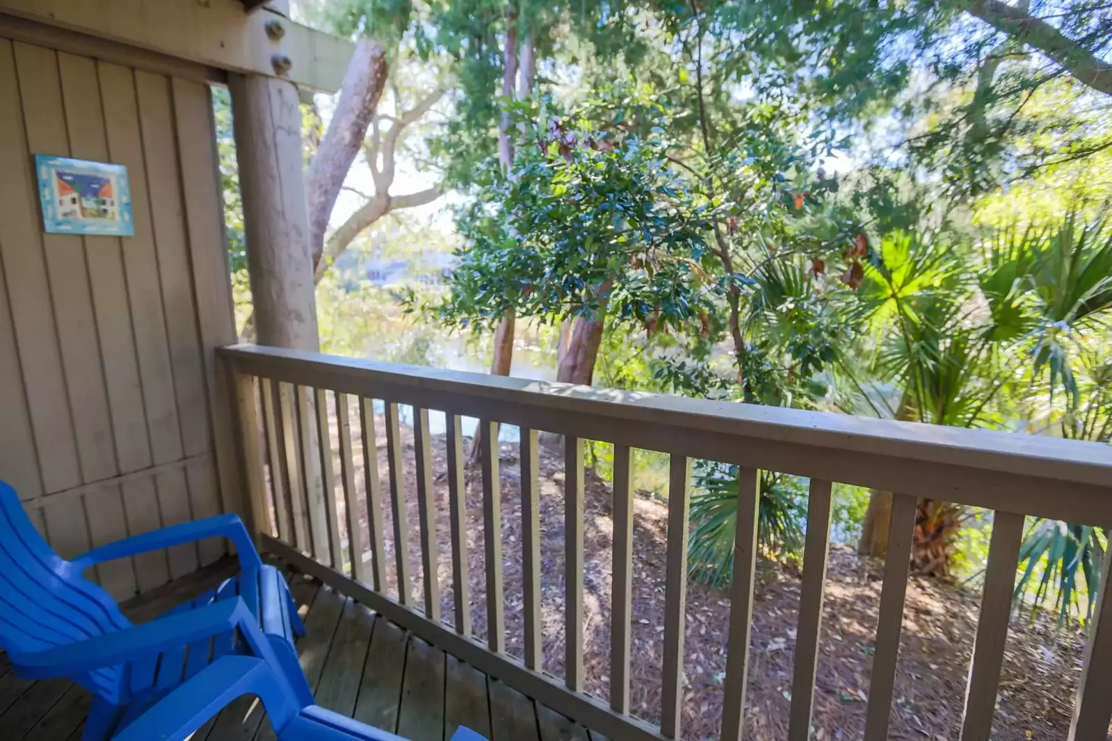 Come experience the soothing sights & sounds of Lowcountry nature!