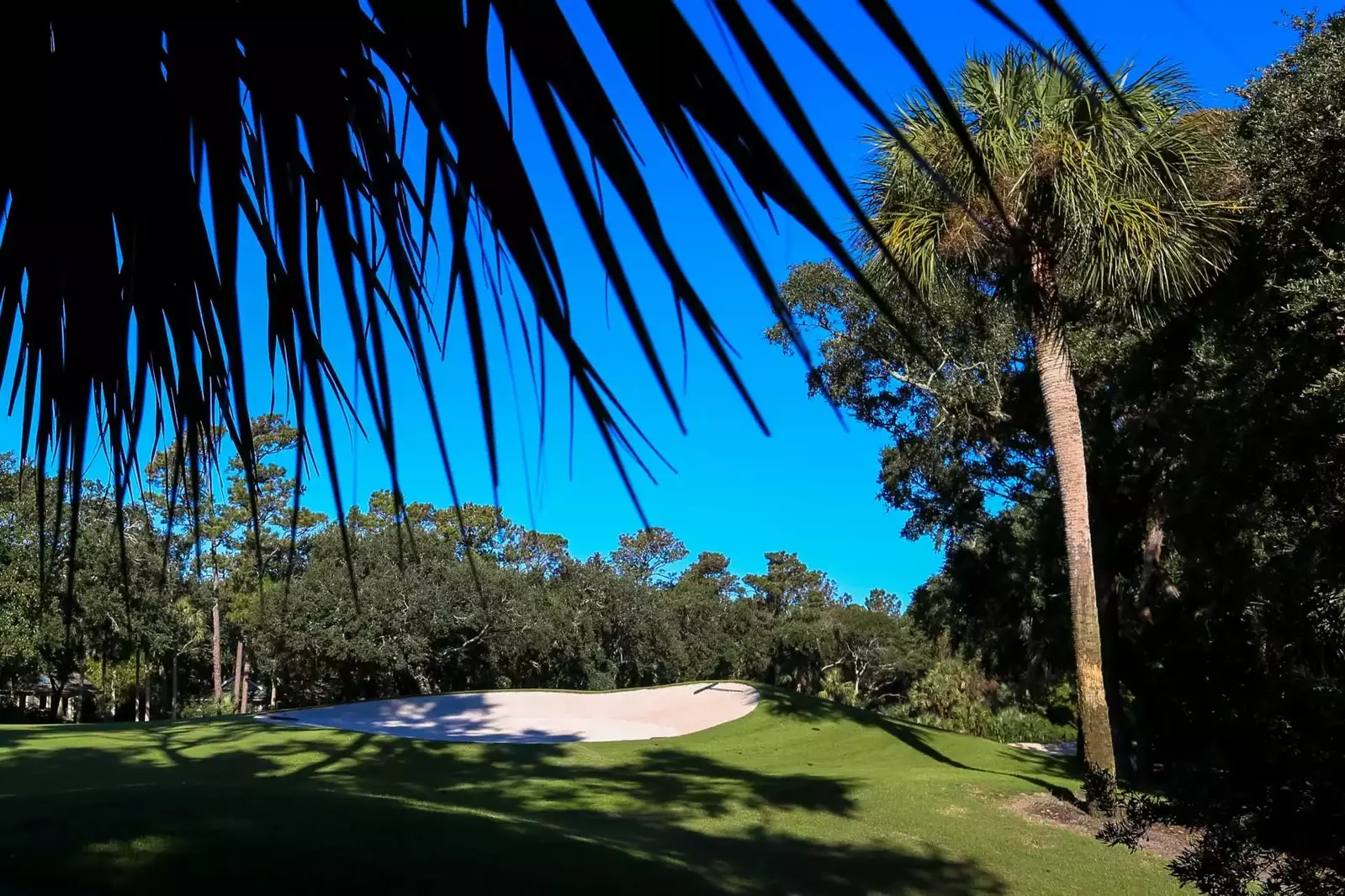 The 13th hole of the Cougar Point Golf Course is located just beyond the home's backyard.