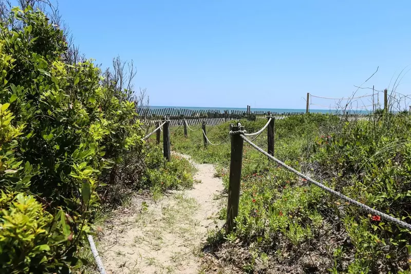 Just follow this trail through the sand dunes to the beach!